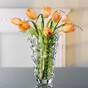 WhatsApp Image 2025-09-19 at 20.46.52_e58e8dd2.webp